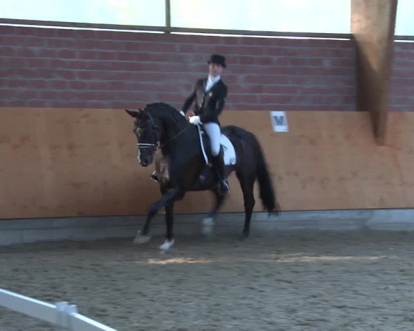 3. Holtkämper Dressurtage 2016