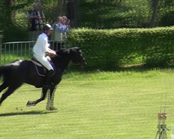 Reit- und Springturnier Jülich 2016