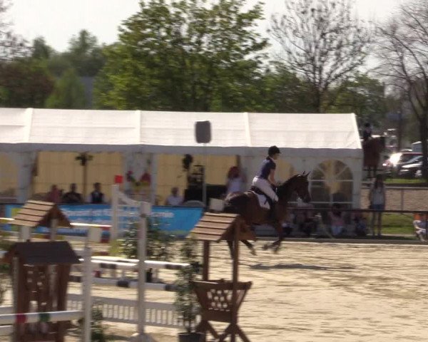 Reitturnier Hamm-Rhynern 2016