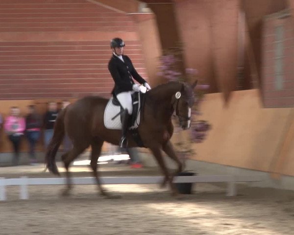 3. Holtkämper Dressurtage 2016