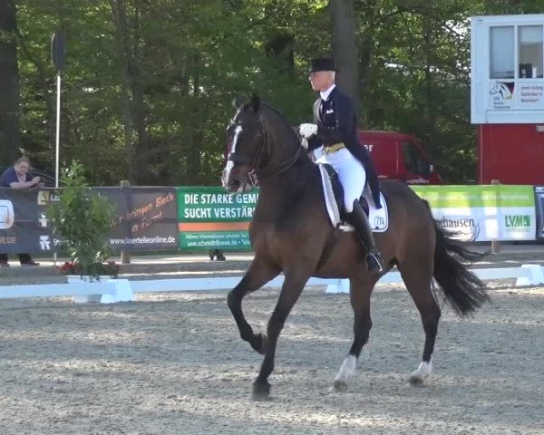 3. Holtkämper Dressurtage 2016