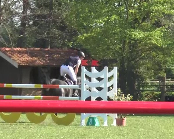 Reitturnier Lienen 2016