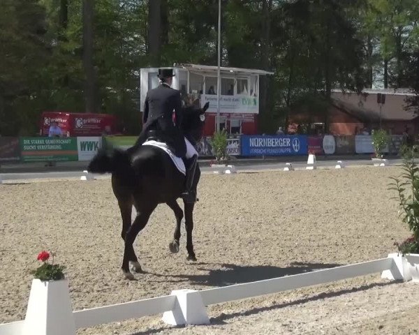 3. Holtkämper Dressurtage 2016