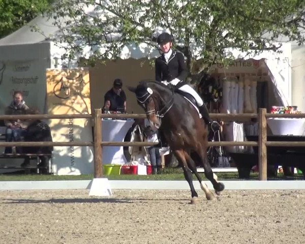 3. Holtkämper Dressurtage 2016