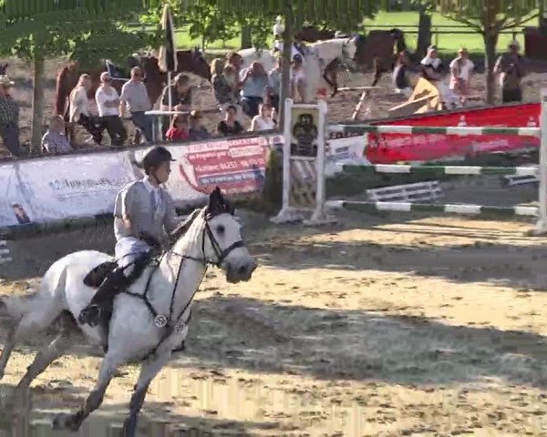 Springturnier Schwanheim 2016