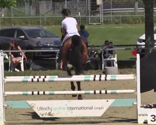 Springturnier Schwanheim 2016