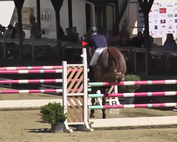 Springturnier Schwanheim 2016