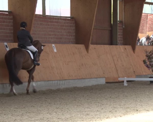 3. Holtkämper Dressurtage 2016