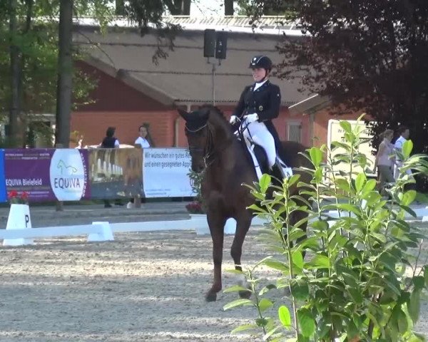 3. Holtkämper Dressurtage 2016