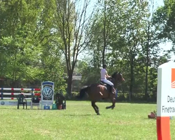 Reitturnier Lienen 2016