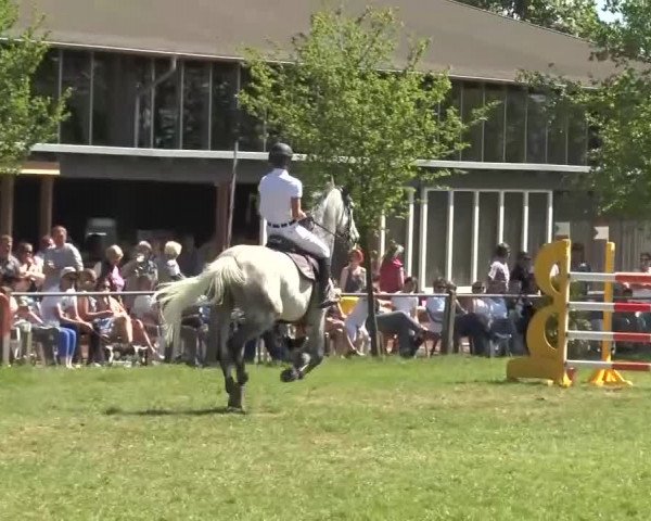 Reitturnier Lienen 2016