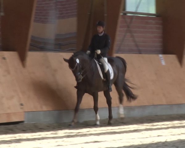 3. Holtkämper Dressurtage 2016