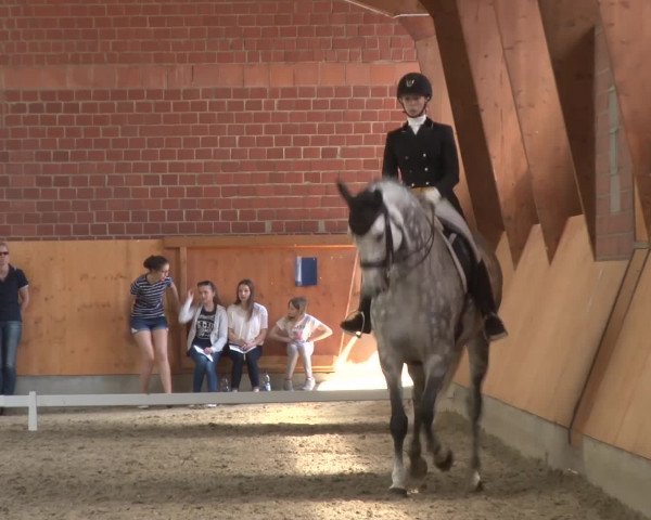 3. Holtkämper Dressurtage 2016