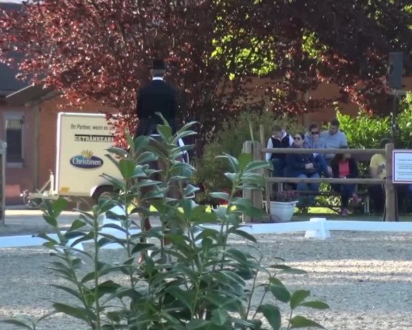 3. Holtkämper Dressurtage 2016