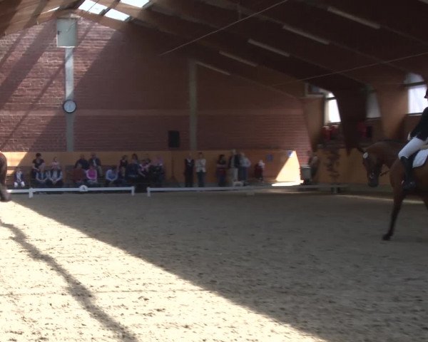 3. Holtkämper Dressurtage 2016