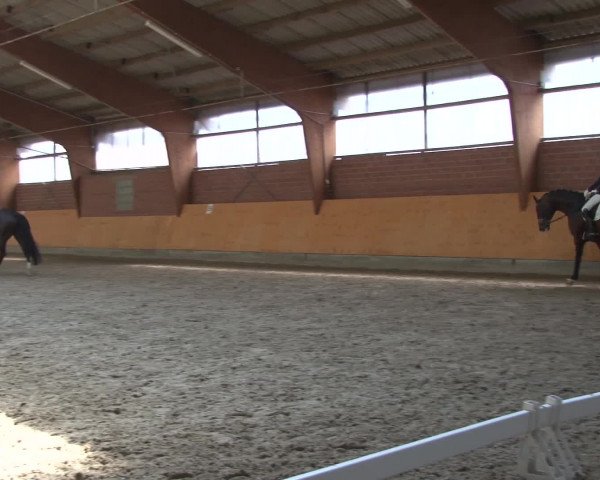3. Holtkämper Dressurtage 2016