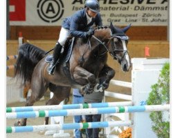 jumper Tullagher Blaise (Irish Sport Horse, 2005, from Shannondale Sarco St Ghyvan)