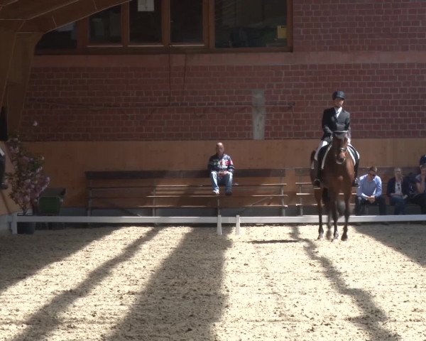 3. Holtkämper Dressurtage 2016