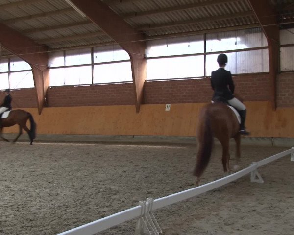 3. Holtkämper Dressurtage 2016