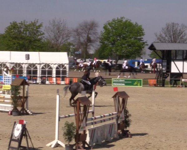 Reitturnier Hamm-Rhynern 2016