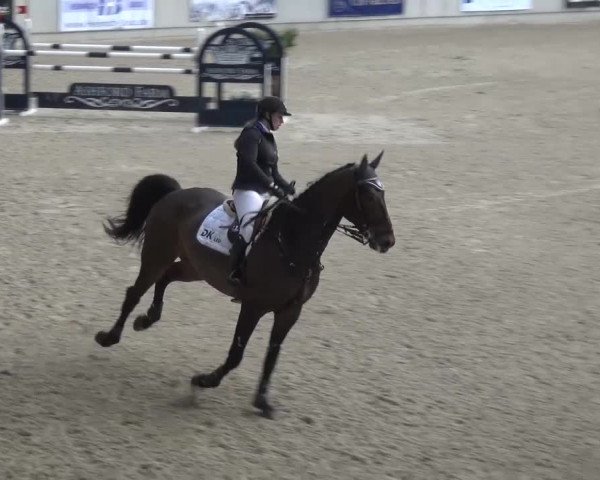 FEI Reitturnier Aachen (GER) 2016