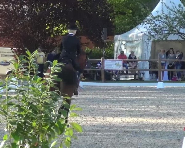3. Holtkämper Dressurtage 2016