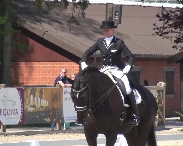3. Holtkämper Dressurtage 2016