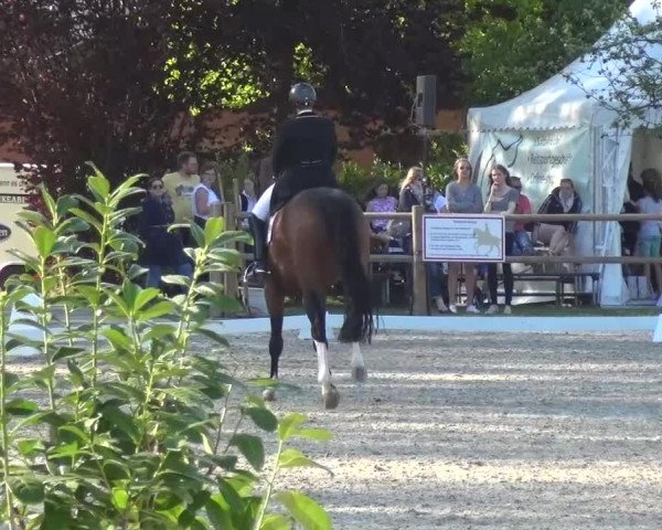 3. Holtkämper Dressurtage 2016