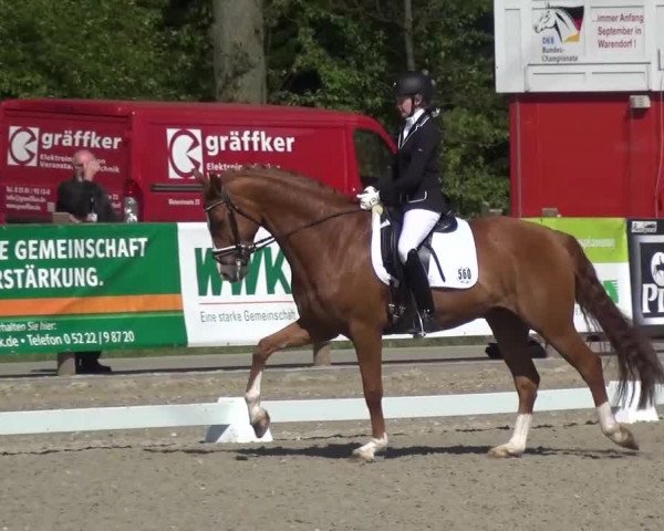3. Holtkämper Dressurtage 2016