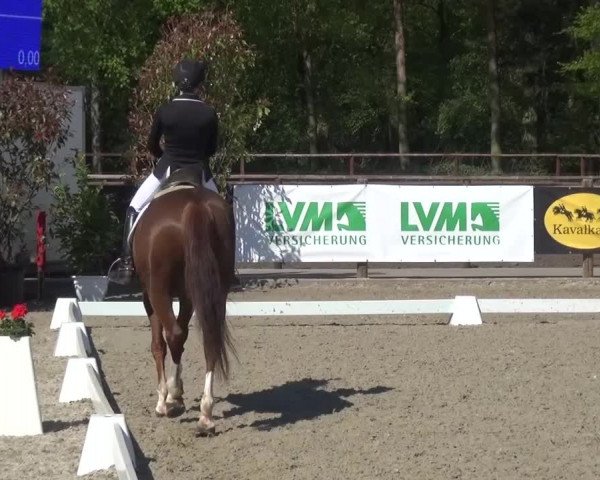 3. Holtkämper Dressurtage 2016