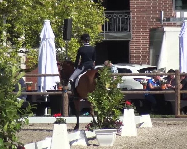3. Holtkämper Dressurtage 2016