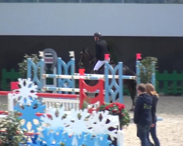FEI Reitturnier Aachen (GER) 2016