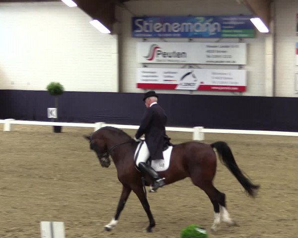 Reitturnier Borken 2016