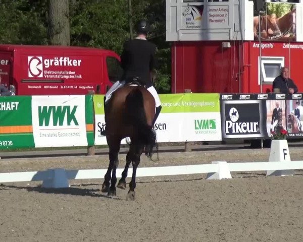 3. Holtkämper Dressurtage 2016