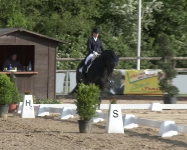 Reitturnier Frechen-Grefrath - Sonnenhof 2016