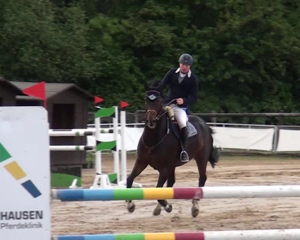 Reitturnier Frechen-Grefrath - Sonnenhof 2016