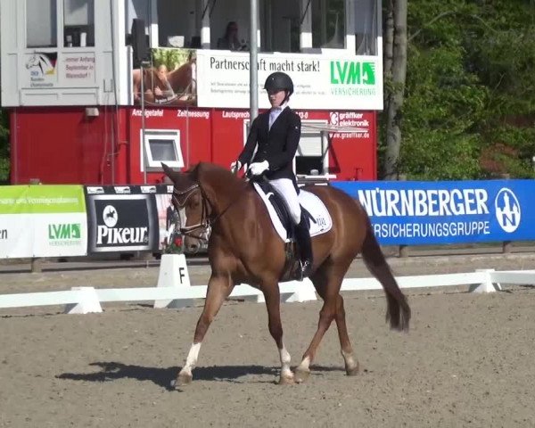 3. Holtkämper Dressurtage 2016