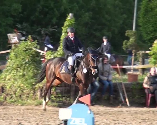 Reitturnier Frechen-Grefrath - Sonnenhof 2016