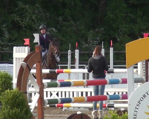 Reitturnier Frechen-Grefrath - Sonnenhof 2016