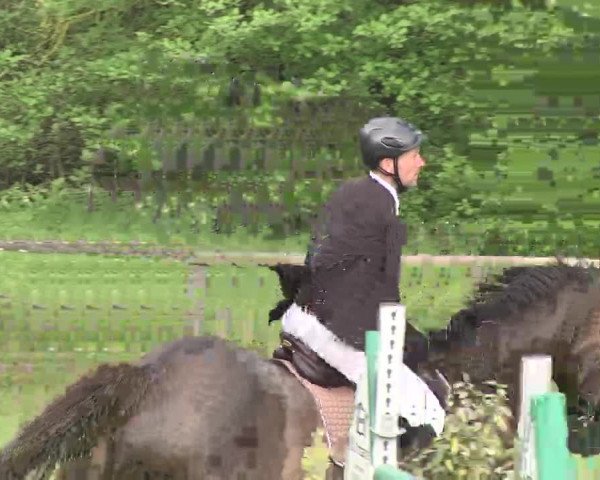 Reitturnier Jettingen 2016