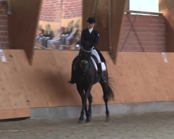 3. Holtkämper Dressurtage 2016