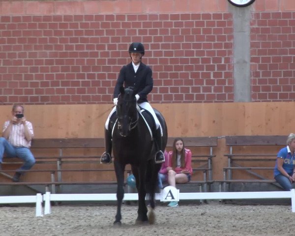 3. Holtkämper Dressurtage 2016