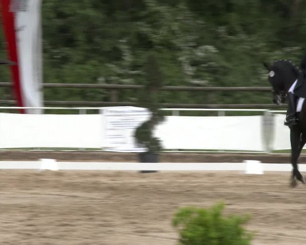 Reitturnier Frechen-Grefrath - Sonnenhof 2016