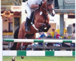 broodmare Fürstin von Lordanos (Oldenburg, 2009, from Lordanos)