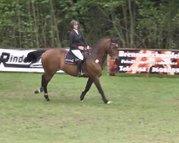 Reitturnier Jettingen 2016