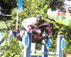 jumper La Mia S (Hanoverian, 2011, from El Bundy)