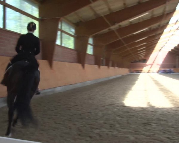 3. Holtkämper Dressurtage 2016