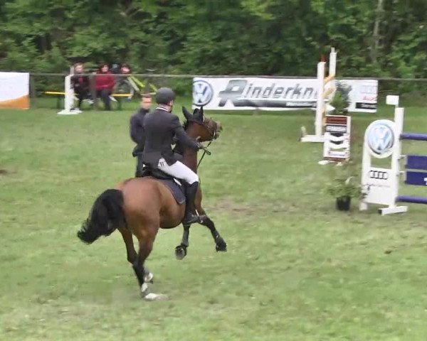 Reitturnier Jettingen 2016