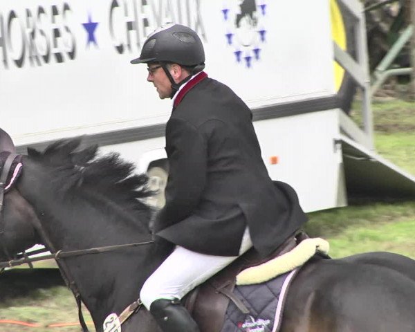 Reitturnier Jettingen 2016