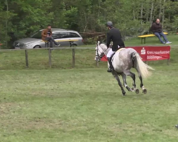 Reitturnier Jettingen 2016